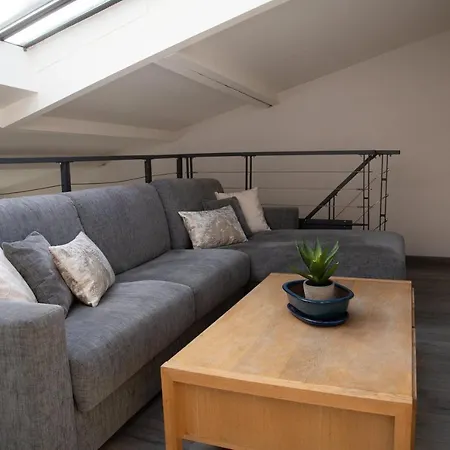 Loft En Plein Coeur Du Marais Dans Un Particulier *